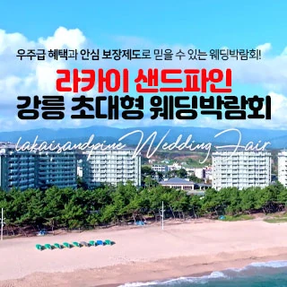 라카이 샌드파인 강릉 웨딩박람회 배너