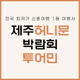 제주 투어민 허니문 박람회 배너
