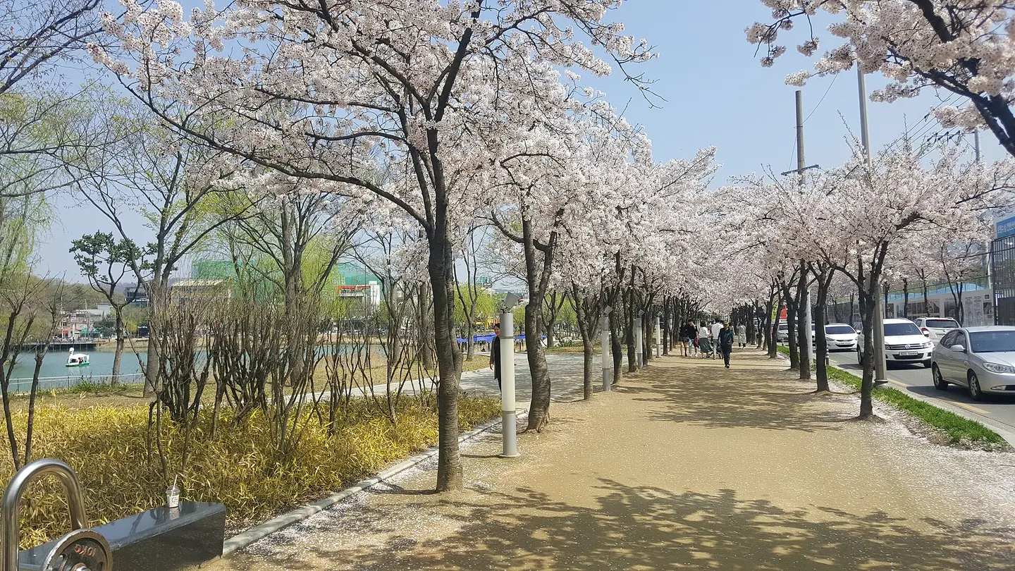 대구 대표 풍경, 수성못